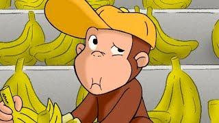 Curious George George The Grocer  Kids Cartoon  Kids Movies | Videos For Kids