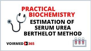 11 ESTIMATION OF SERUM UREA - BERTHELOT METHOD | BIOCHEMISTRY PRACTICAL