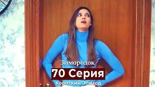 Зимородок 70 Cерия (Короткий Эпизод) (Русский дубляж)
