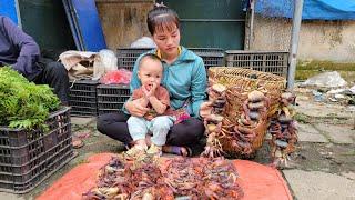 Single Mom: Harvest forest crabs in the rainy season and Bring them to the market to sell, Cooking