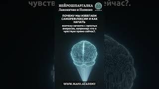 Нейрошпаргалка от Кафедры Нейропсихологии и Нейрокоучинга #нейрокоучинг #нейропсихология #МАФО