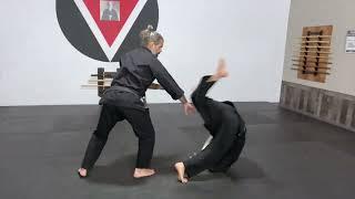 Aikido Flow Martial Fusion