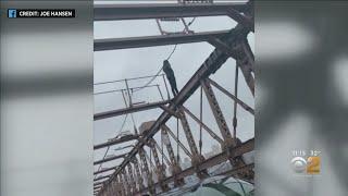 Exclusive: Passerby On Brooklyn Bridge Helps Talk Down Man Standing On Ledge