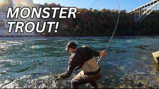 Shore Fishing for GIANT TROUT. NIAGARA RIVER.