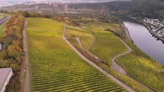 Weingut Toni Müller Luftaufnahmen Weinberge an der Mosel