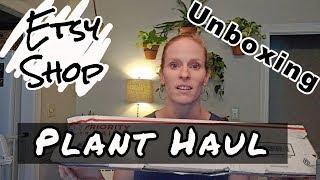 Etsy Shop Plant Haul | Plant Unboxing | Calathea Plant Haul | Low Light Houseplants