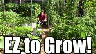 10 Low Maintenance Crops: Grow More, Work Less, & Spend Less