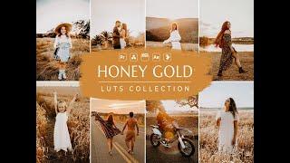 Honey Gold Video LUTs | Honey Video LUTs | Bright LUT | Influencer LUT | Video Preset | VN LUT