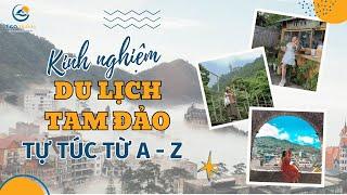 Kinh nghiệm Du lịch Tam Đảo Chi tiết nhất cho người mới | Tico Travel