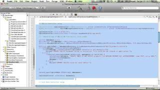 Beginning iOS SDK Development: Lesson 7