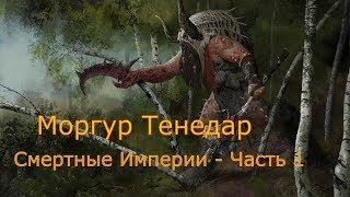 Первый тестовый стрим - Моргур Тенедар - Часть 1