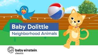 Neighborhood Animals For Kids to Learn | Baby Dolittle: Neighborhood Animals | Baby Einstein