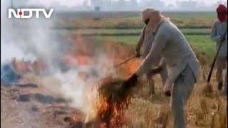 Crop Stubble Burning Reaches Its Peak In Punjab