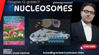 Nucleosome: Structure & Composition | Biology Grade 11 | Urdu Hindi English | 2024