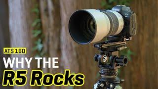 Approaching the Scene 160: Why The Canon R5 Rocks