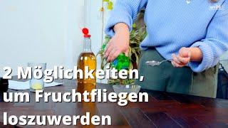 Fruchtfliegenfallen DIY | „Easy Home“ | myHOMEBOOK