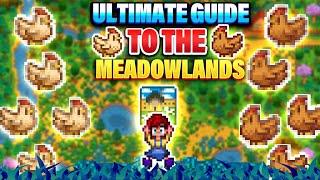 Everything You MUST KNOW About The MEADOWLANDS