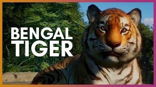  Bengal Tiger | Planet Zoo Update