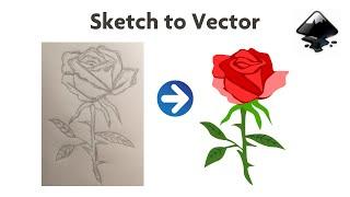 Vectorizing Sketch of  Rose | Inkscape | Timelapse