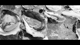 Oyster Harvest and Restoration History in the Chesapeake