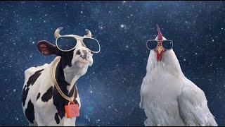GEGER! Sapi dan Ayam Ikut Perang Bintang! | Gratis Ongkir RP0 di Shopee 12.12