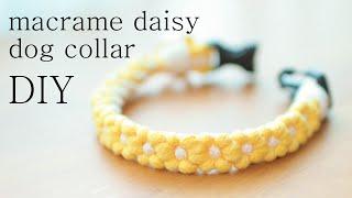 DIY Ι How to make a dog collar Ι macrame daisy dog collar tutorial