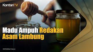 Madu Ampuh Meredakan Asam Lambung Tinggi, Ini Cara Minum yang Tepat