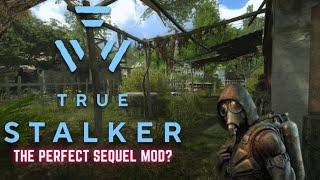 This mod is fantastic! True S.T.A.L.K.E.R. Review