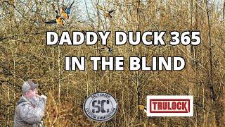 Daddy Duck 35 Live - In The Blind