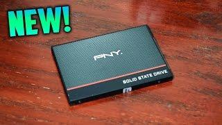 Best SSD For the Money | PNY CS1311 Review! Best Bang For Your Buck