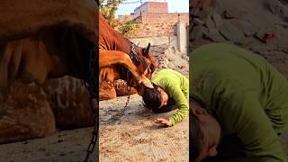  Jai gau Mata Jai shree Krishna  #trending #subscribe #shorts #viral #youtube #youtubeshorts #new