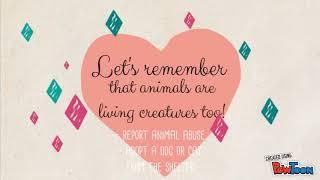 Let's all end animal cruelty!