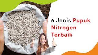 6 Jenis Pupuk Nitrogen, Beda Bentuk Beda Efek