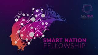 What is the Smart Nation Fellowship Programme about?