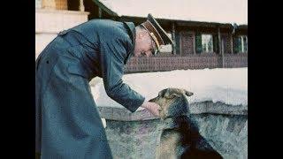 Hitler's Dog Blondi