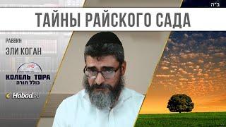 Тайны райского сада: 10. Нет, весь я не умру, или Тайна первого запрета