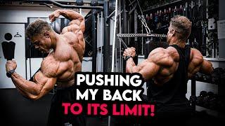 Champion Back Day | Start Of The Improvement Season