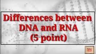 Differences between DNA and RNA #DNA #RNA @Medical_Tube