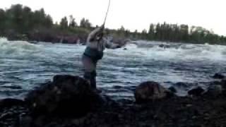 Salmon fishing in Torne River