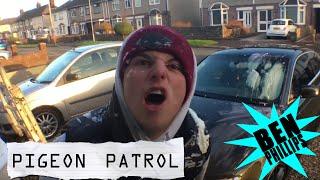 Ben Phillips | Pigeon Patrol - a cow had C*mmed on my car! - PRANK