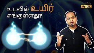 உடலில் உயிர் எங்குள்ளது? | Mr.GK