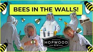 BEES IN THE WALLS! | Hopwood DePree