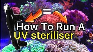 How I run my PENTAIR UV Steriliser!