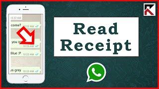 How To Check If Message Was Read On WhatsApp iPhone