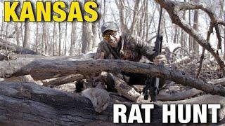 Kansas Air Rifle Airgun Rat Hunting Adventure : American Airgunner TV