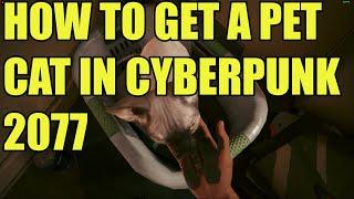How to get Nibbles the cat in Cyberpunk 2077