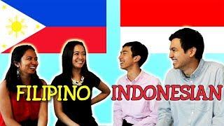 Language Challenge: Filipino vs Indonesian