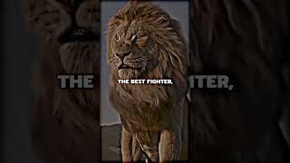 {NEVER GET ANGRY}...|| Lion Attitude Status..|| #youtubeshorts #shorts #trending