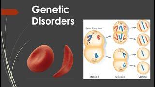 Genetic Disorders