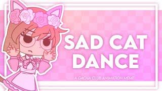  SAD CAT DANCE  || GACHA CLUB ANIMATION MEME ||